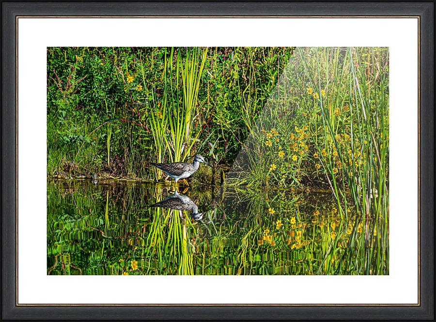 Yellow reflections - D756994 Picture Frame print