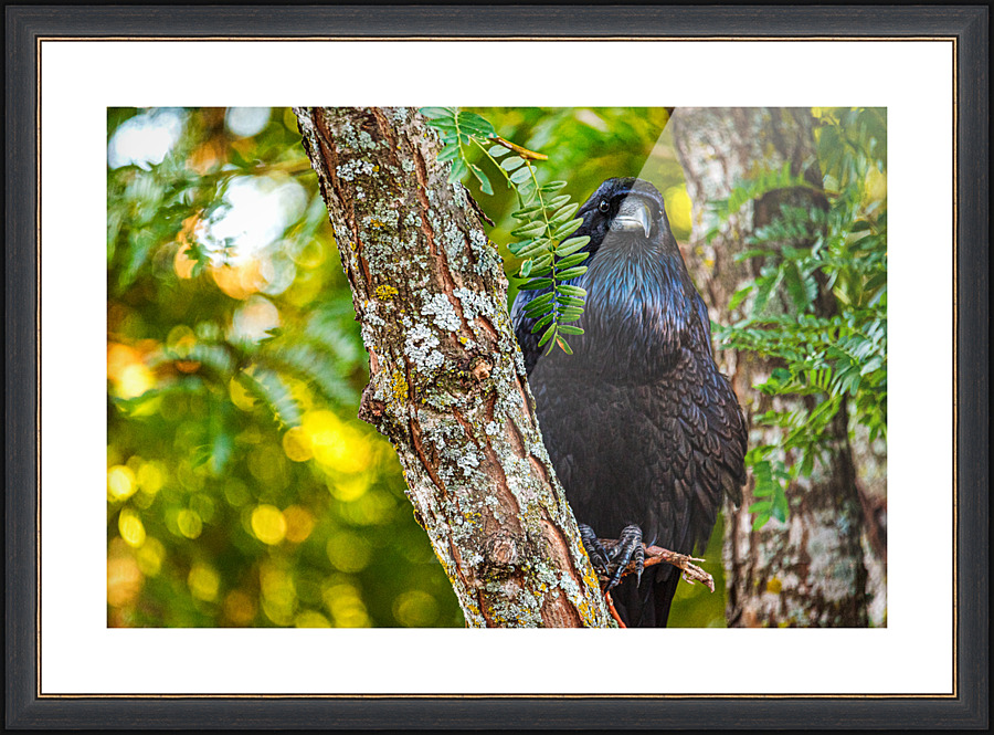 Statuesque - D758005 Picture Frame print