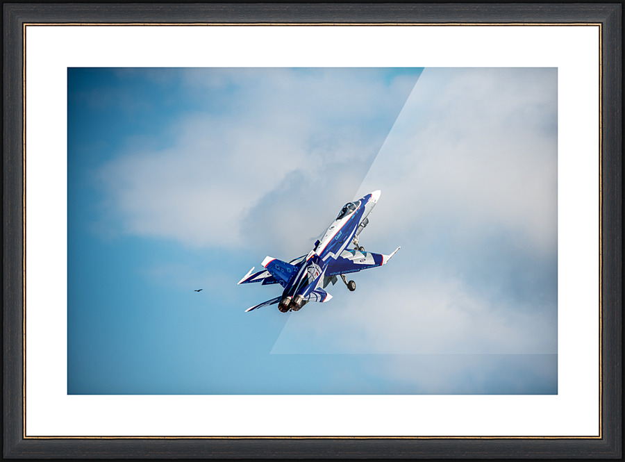 Homage - D75 6402 Picture Frame print