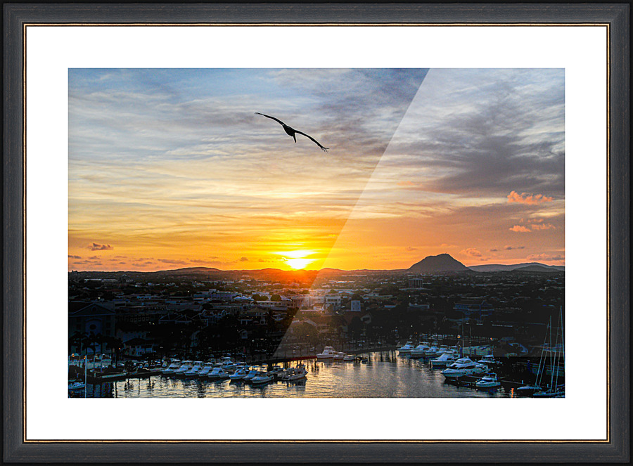 Sunset flight - DSC 3995 Picture Frame print