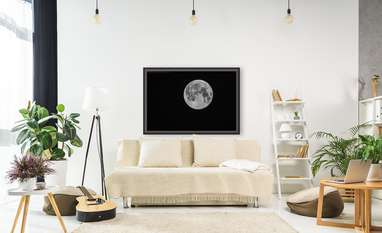 Full Moon - D759244 Reproduction