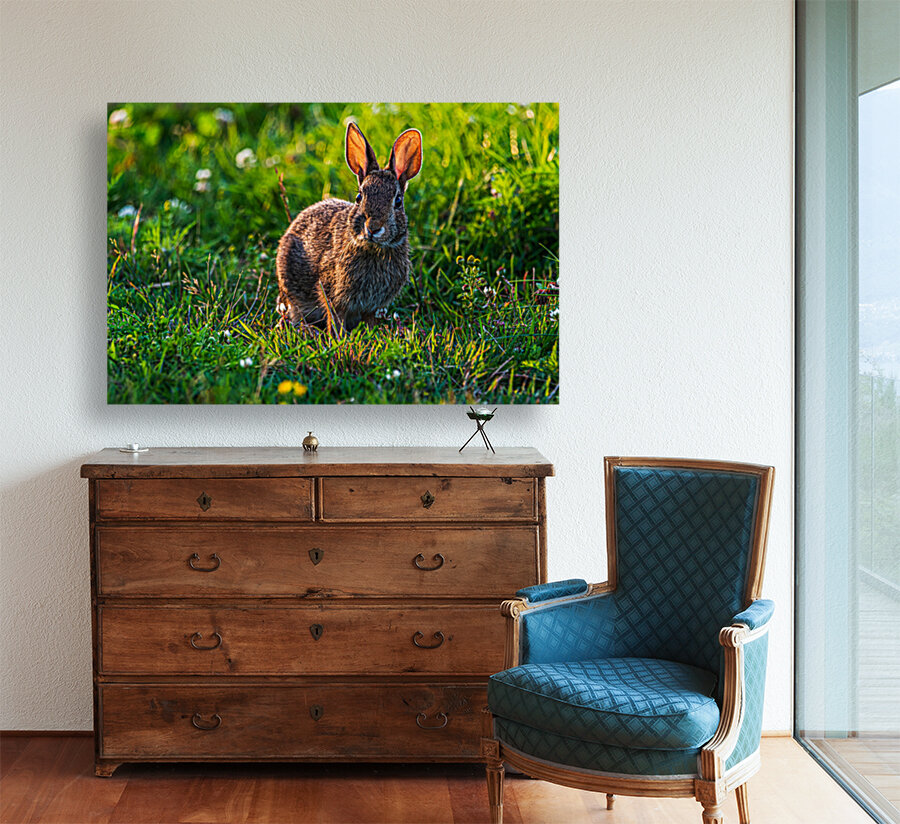 Peter Cottontail - D755539 Reproduction