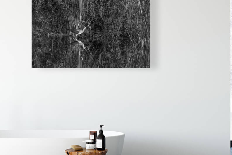 Yellow reflections - D756994 bw by greigsphotoworks