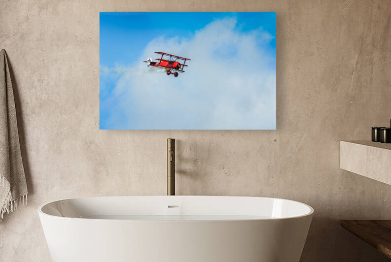Red Baron - D75 6536 by greigsphotoworks