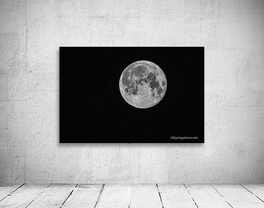 Full Moon - D759244 Wall Preview