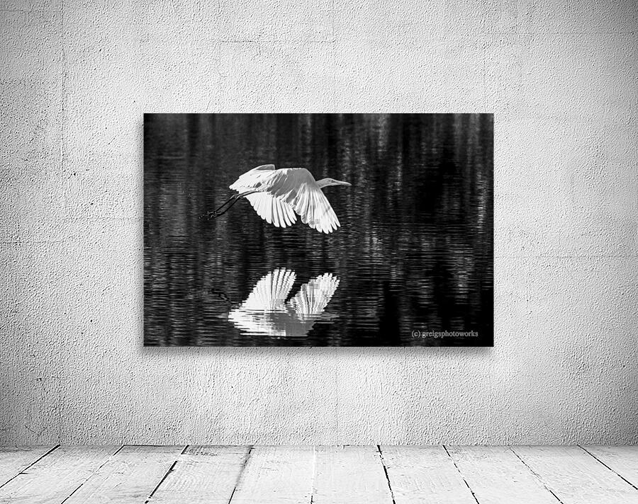 Sunset Flight - D757896 bw Wall Preview