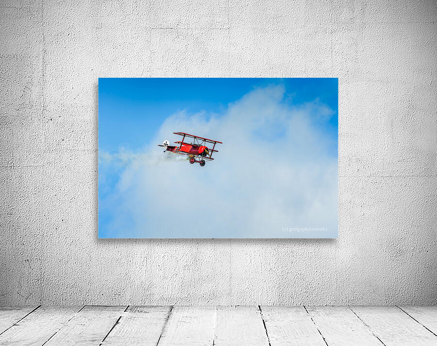 Red Baron - D75 6536 Wall Preview