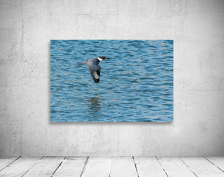 Smooth flight - D755805 Wall Preview