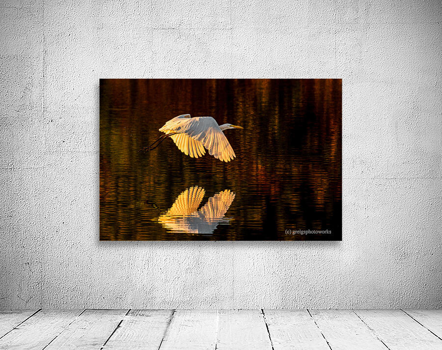Sunset Flight - D757896 Wall Preview