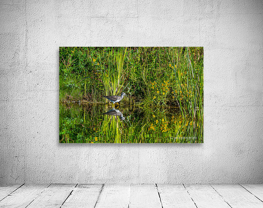Yellow reflections - D756994 Wall Preview