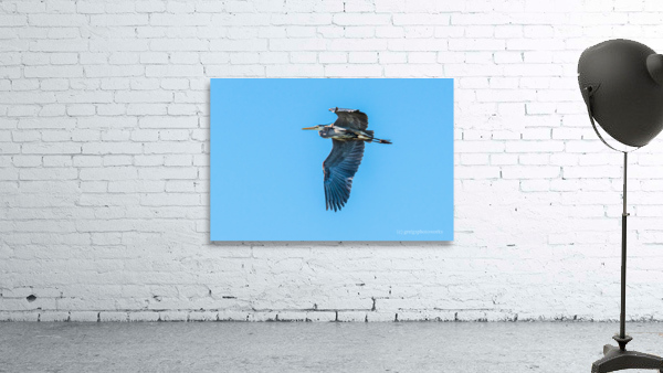 Cruising - D759774 Wall Preview
