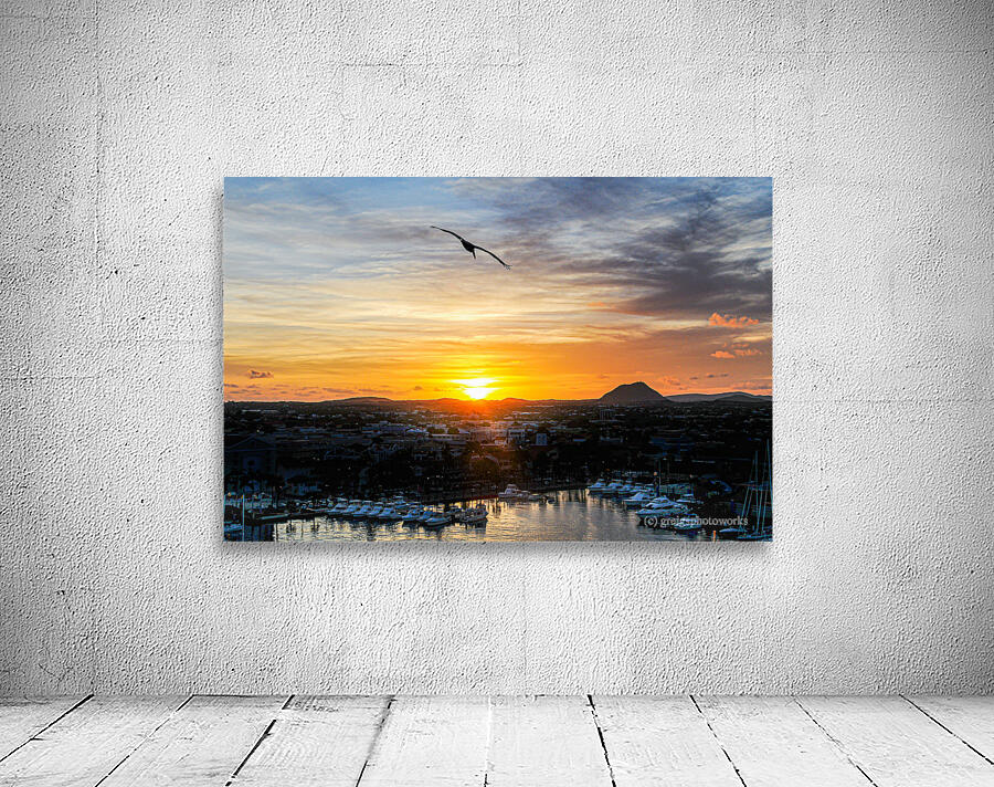 Sunset flight - DSC 3995 Wall Preview