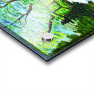 Stream Bridge Acrylic print