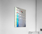 91.1  Acrylic Print