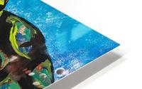 Atlantis   HD Metal print
