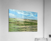 Landscape 0619 Acrylic Print