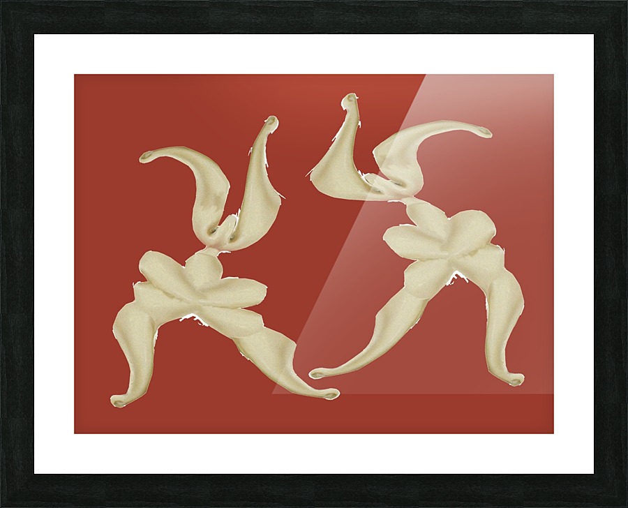 Dance 0628 Picture Frame print