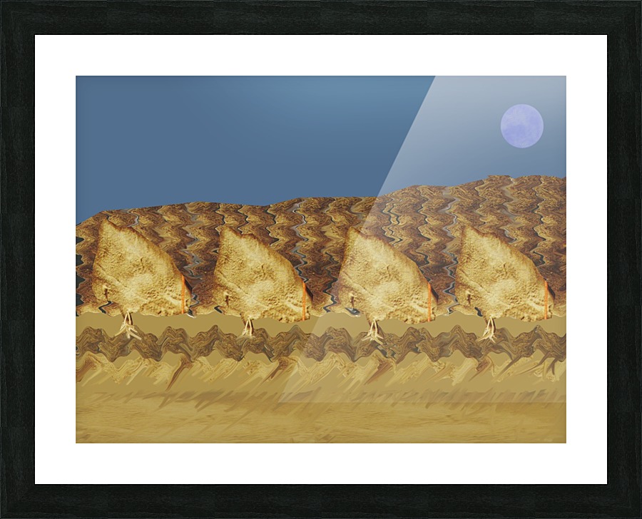 Orchard  736  Picture Frame print