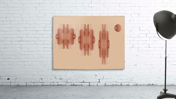 Petroglyph 665 Wall Preview
