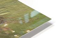 Acid etch HD Metal print