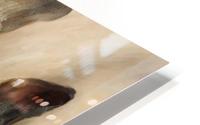 Pious HD Metal print