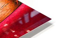 Bianca in red HD Metal print