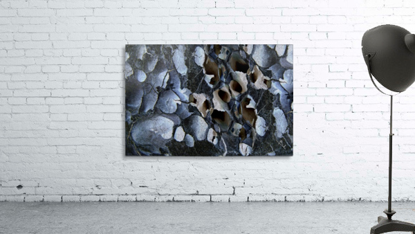 Black holes Wall Preview