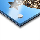 Rock Star Acrylic print