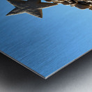 Rock Star Metal print