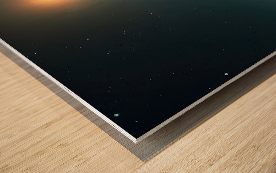 Drinks On The Moon Wood print