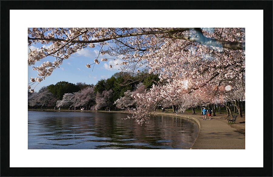 dc4 Picture Frame print