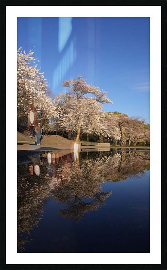 dc11 Picture Frame print