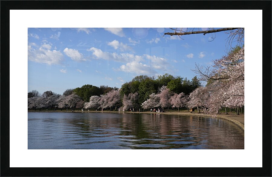 dc7 Picture Frame print