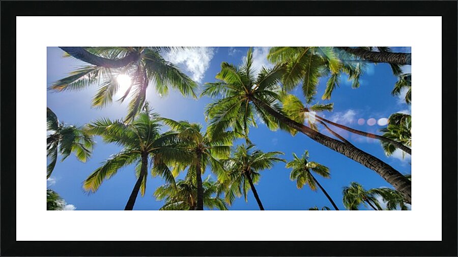 hawaii Picture Frame print