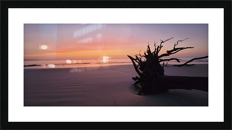 driftwood4 Picture Frame print