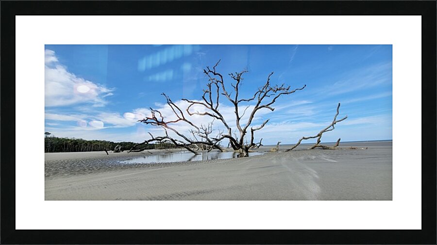 driftwood20 Picture Frame print