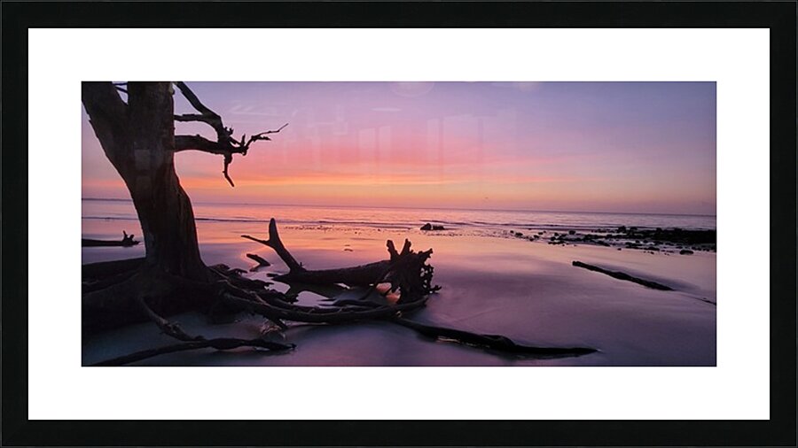 driftwoodbeach2 Picture Frame print