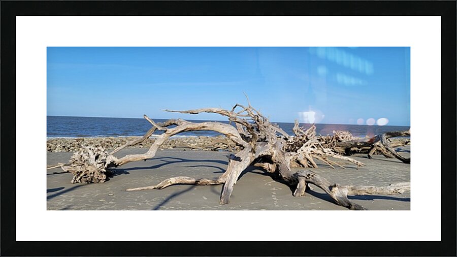 driftwoodbeach Picture Frame print