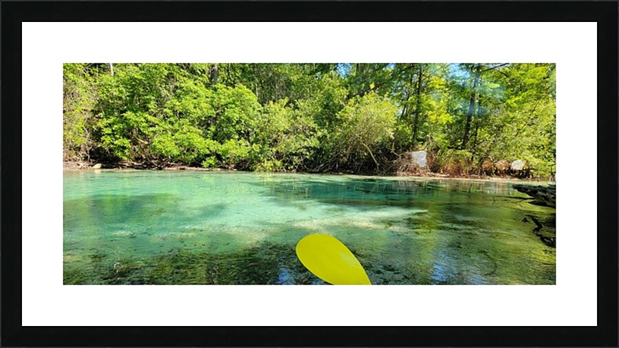 florida Picture Frame print