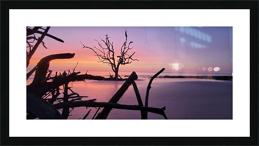 driftwood8 Picture Frame print