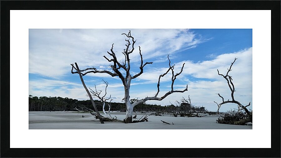 driftwood21 Picture Frame print