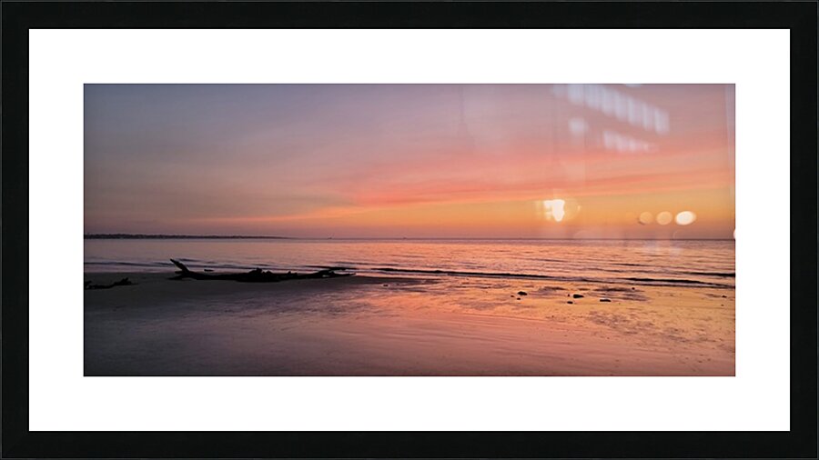 driftwood3 Picture Frame print