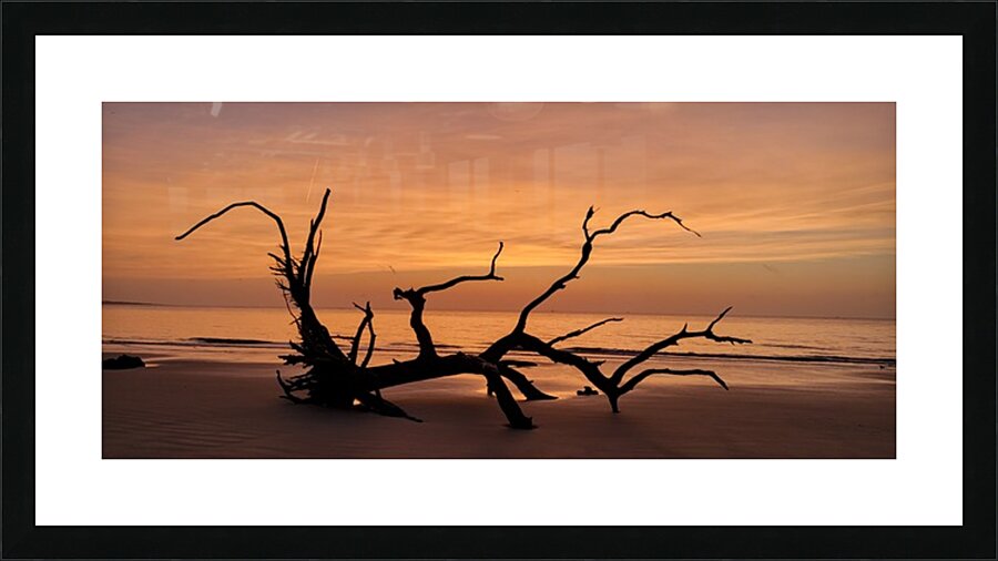 driftwood10 Picture Frame print