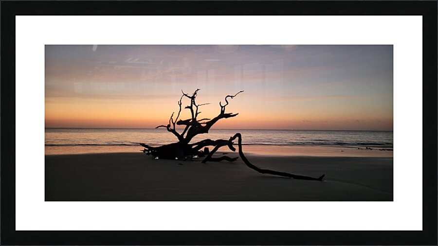 driftwood2 Picture Frame print