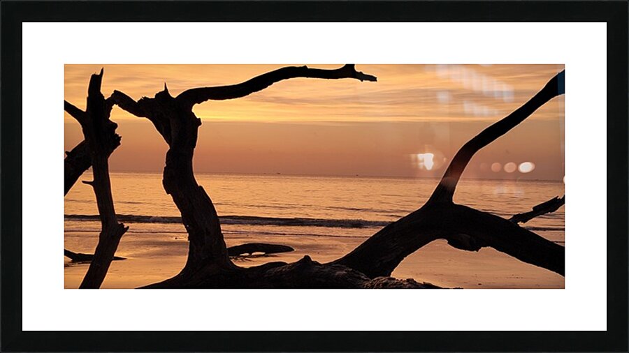 driftwood11 Picture Frame print