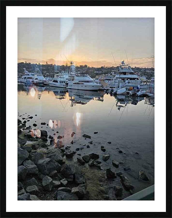 sandiego2 Picture Frame print