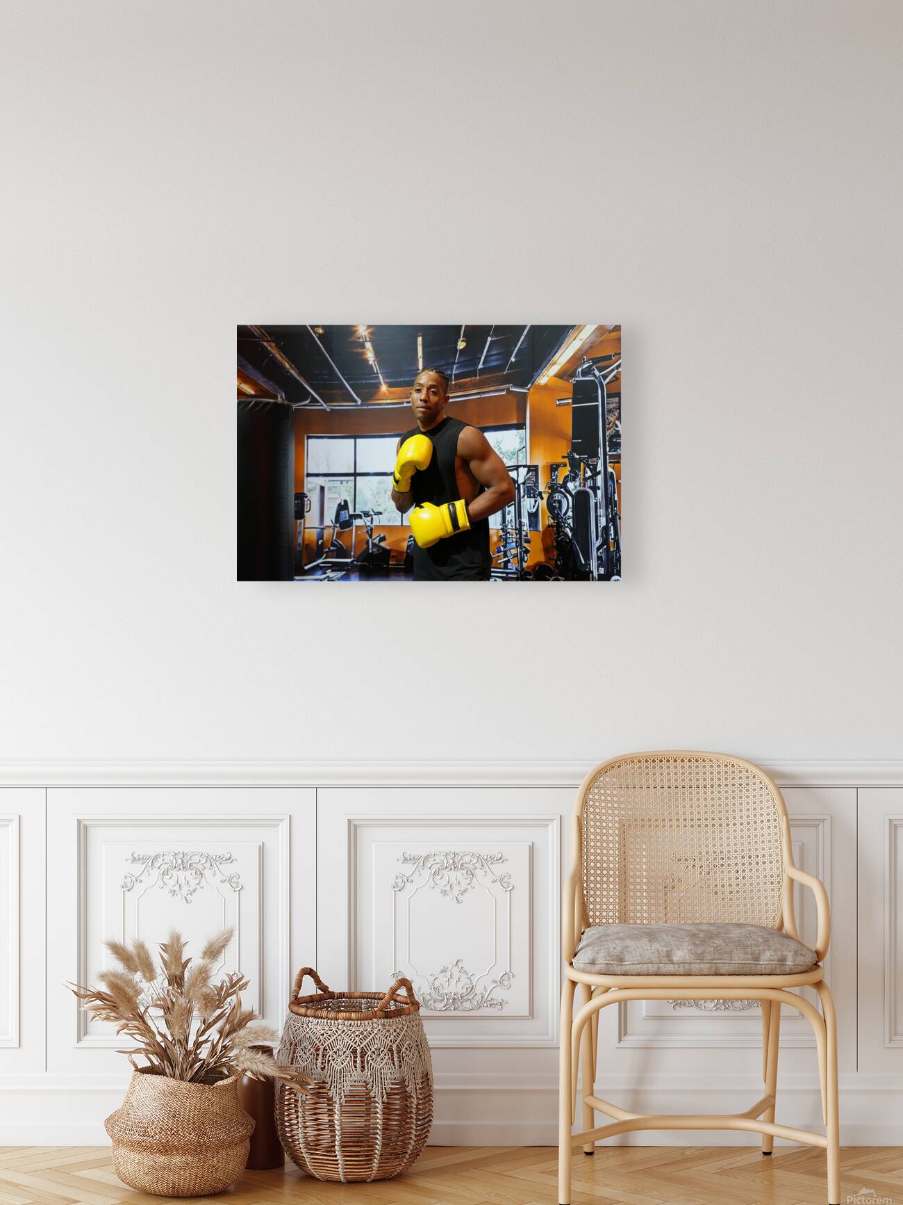 boxer3 Reproduction