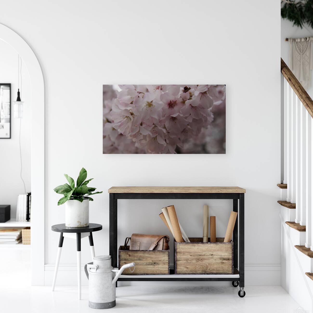 cherryblossom10 Reproduction