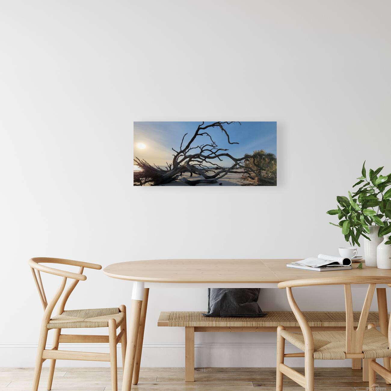 driftwoodbeach6 Reproduction