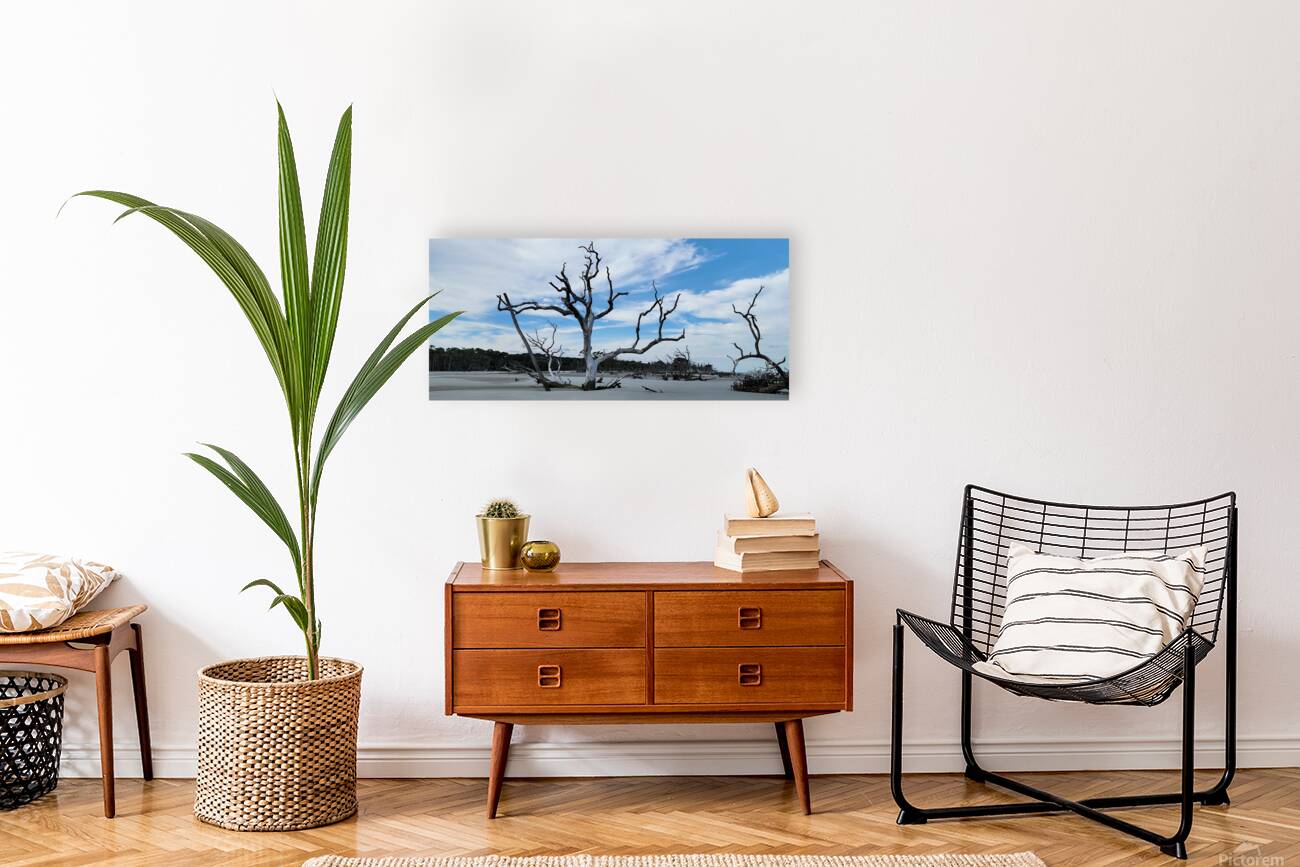 driftwood21 Reproduction
